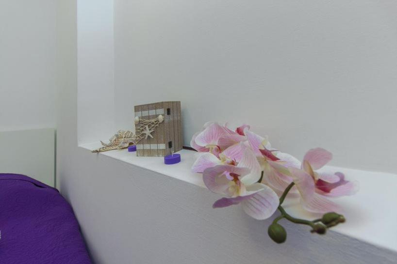 Gabi Apartamento Grebaštica